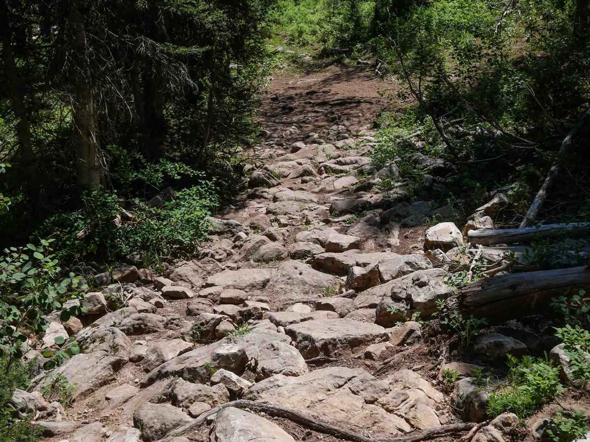 Dry Fork #3329  trail photo