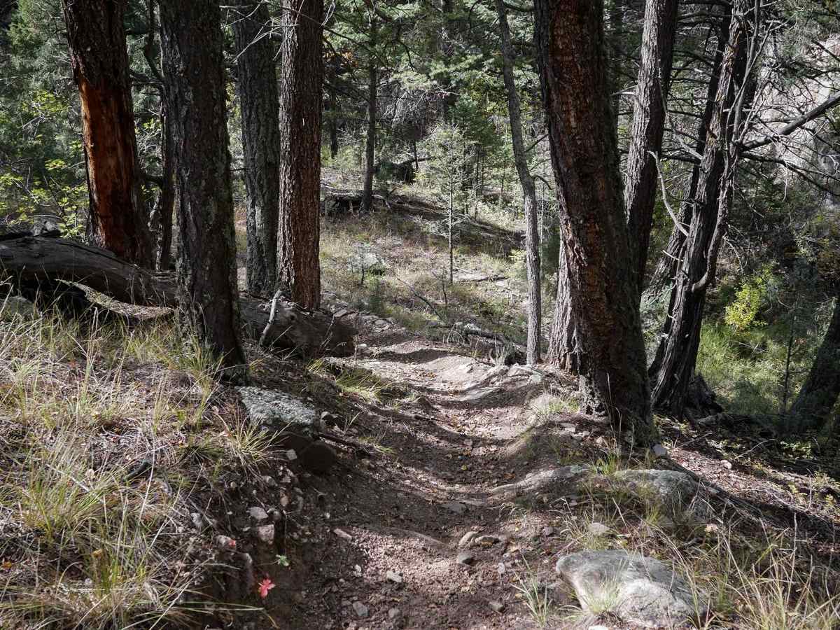 Bull Gulch Single Track - 6062 photo 4
