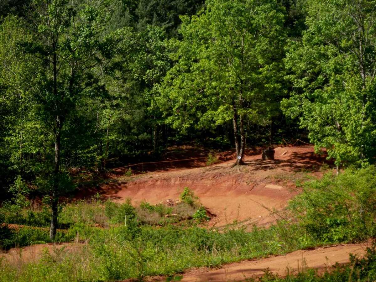 MX Track photo 3