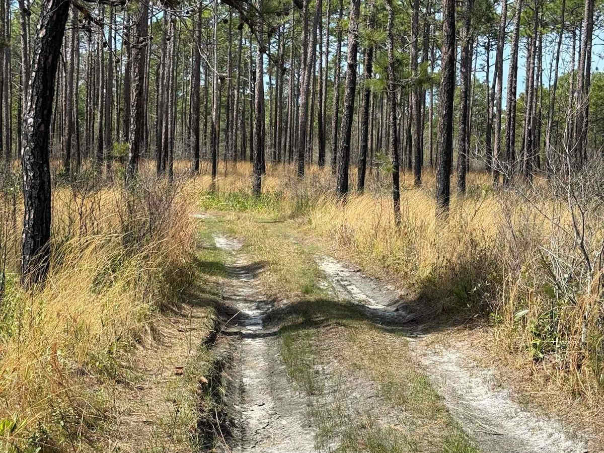 Pettiford Creek Trail 14 photo 5