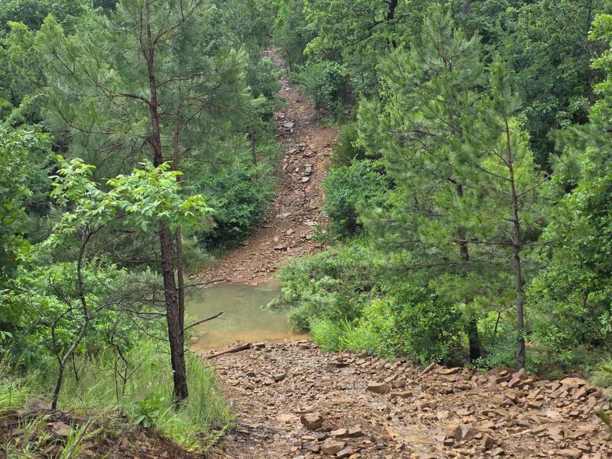 West Boundry Trail photo 4