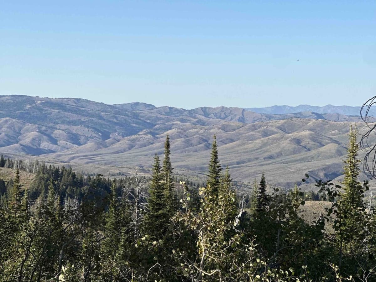 Skyline Ridge - Brockman FS 40075 photo 2