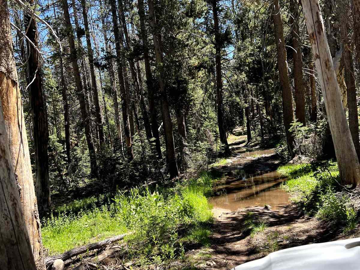 Old Sherman Pass 4x4 Jeep Trail - Continued photo 3
