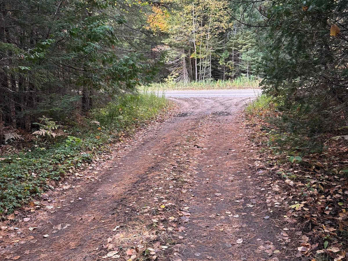 South Mott - FS 2793 trail photo