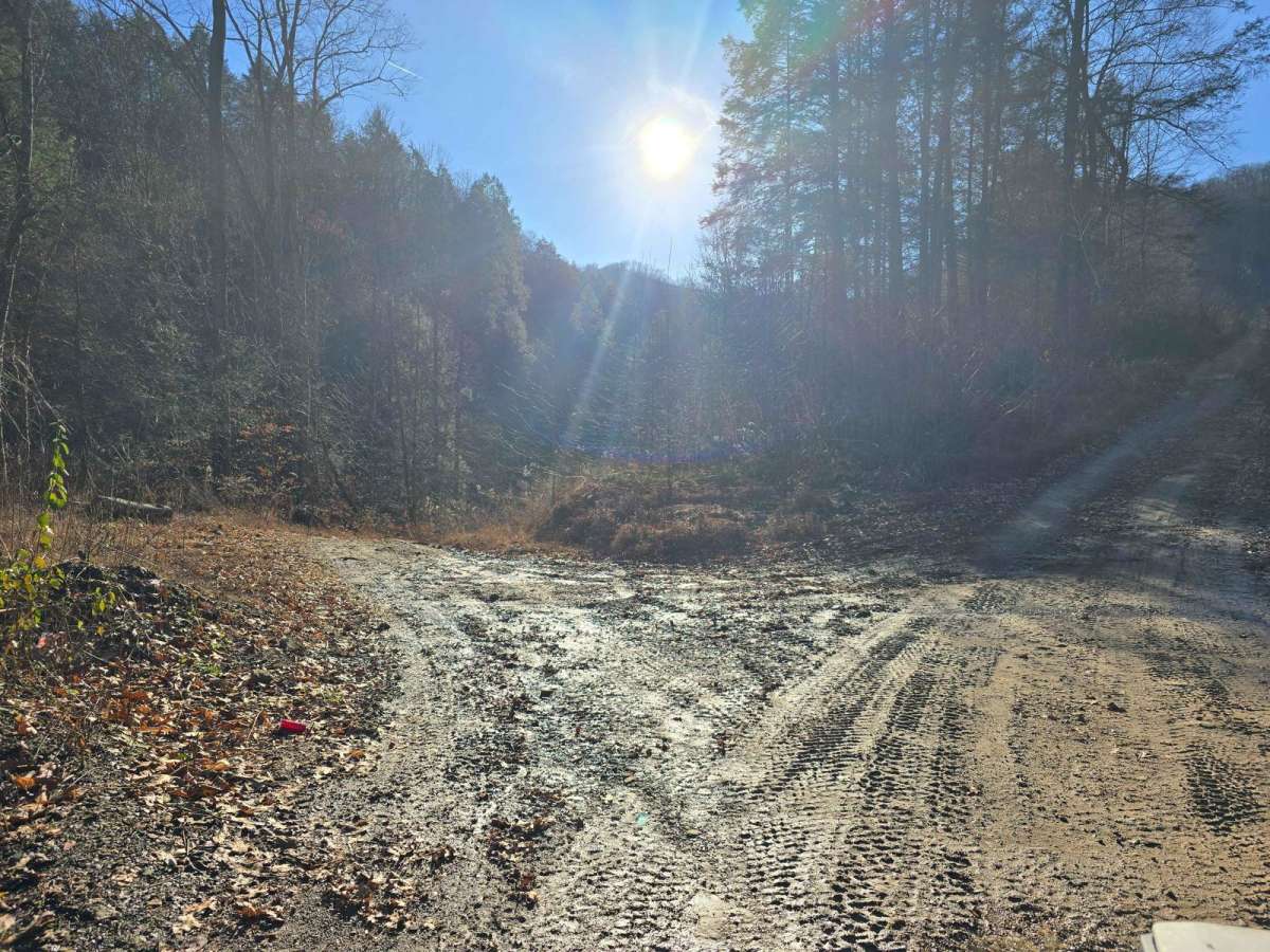 Right Fork of Hell's Creek to Hell's Knob trail photo
