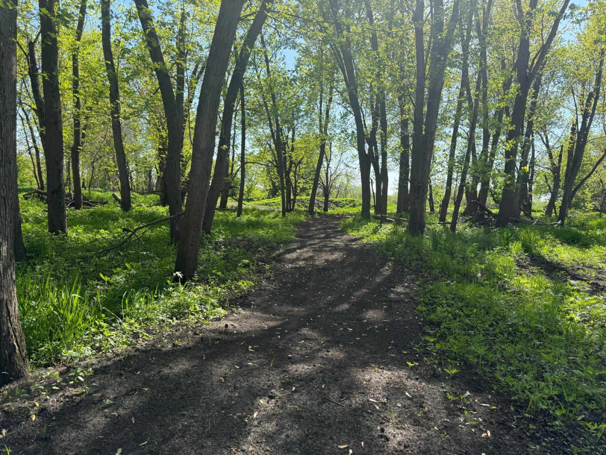 Woods Track A photo 6