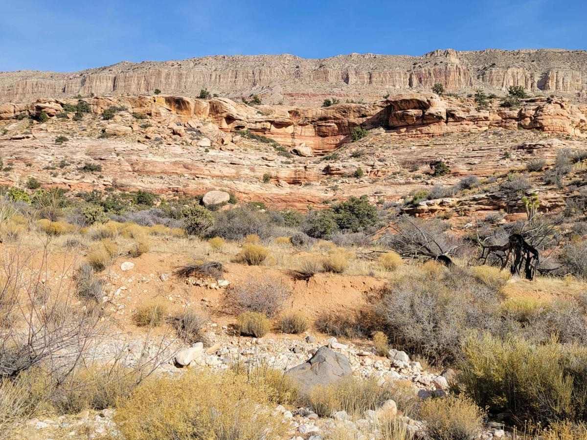 Jump Canyon - BLM 1033 photo 4