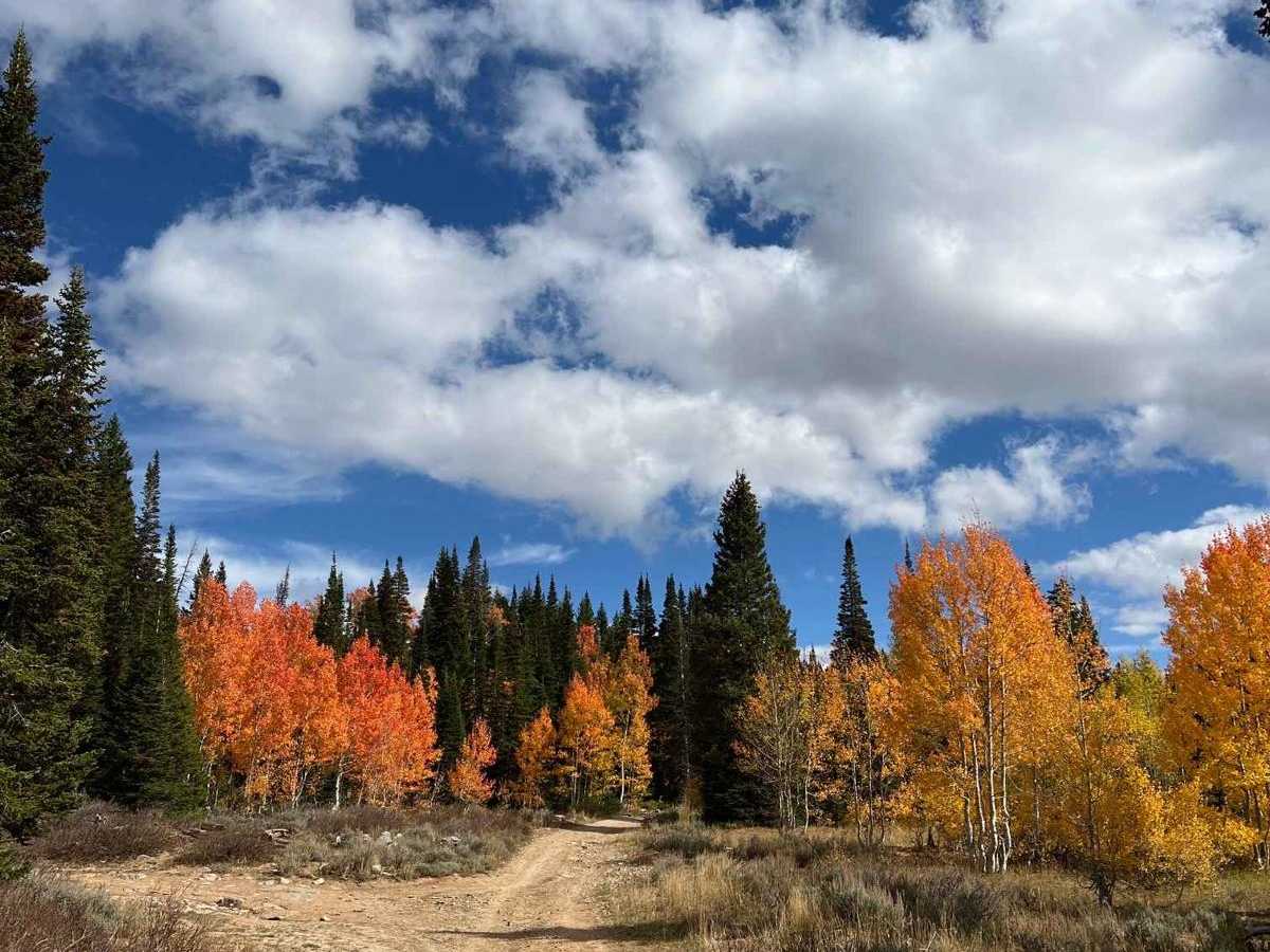 Arbs Spur trail photo