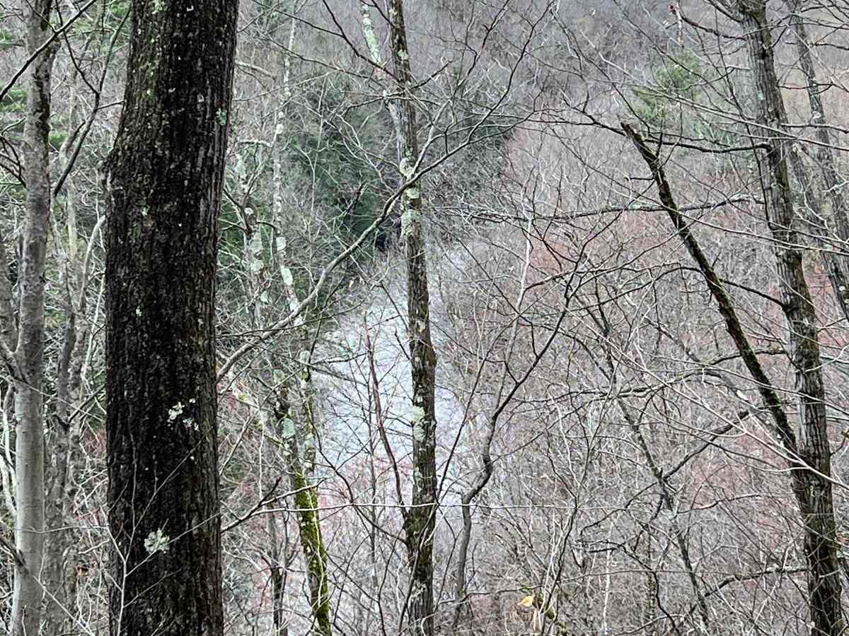 Dark Hollow photo 3