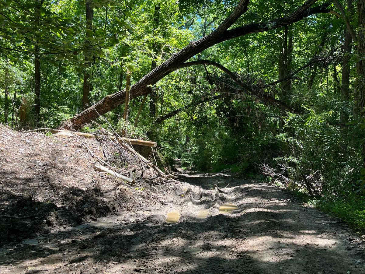 Old Boundary Trail photo 2