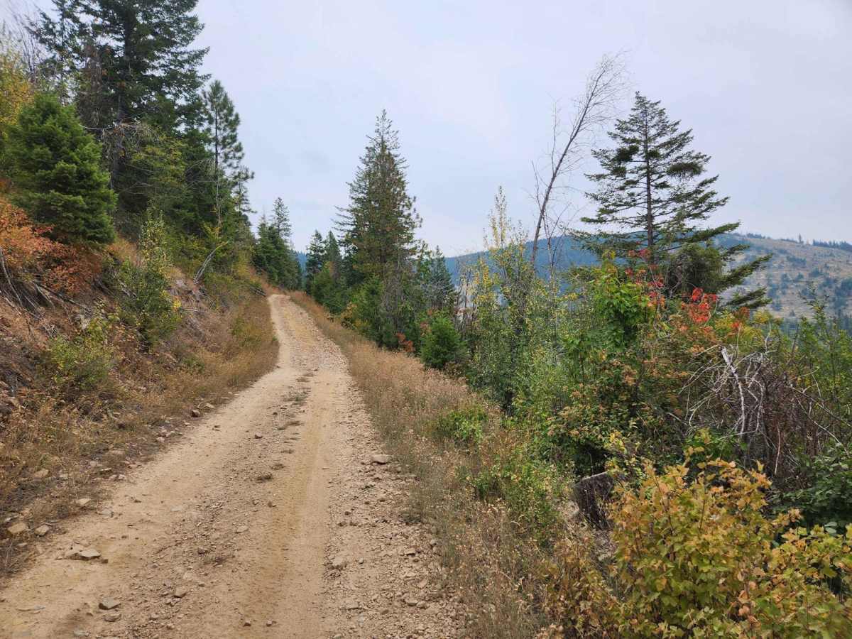 Twin Crags Road photo 3