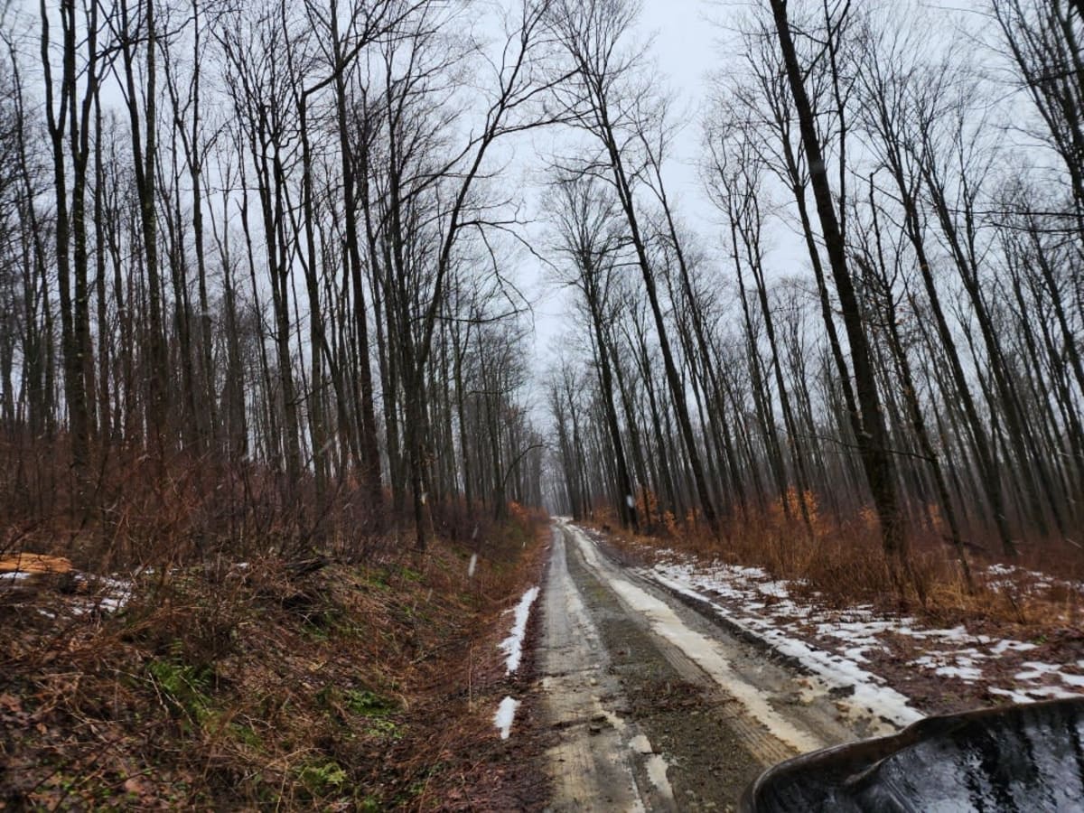 Pipeline PFAR photo 3