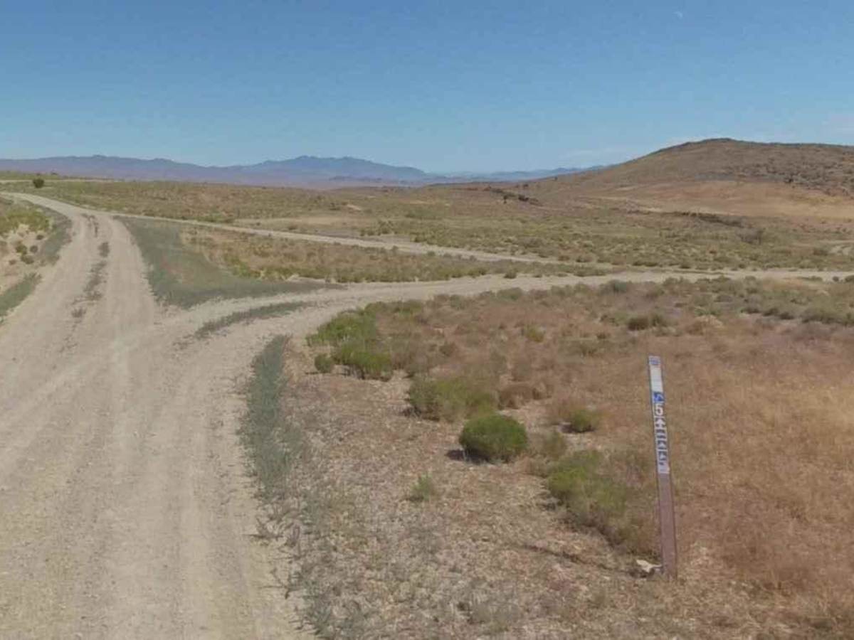 Conger Mountain OHV Route 5 photo 6