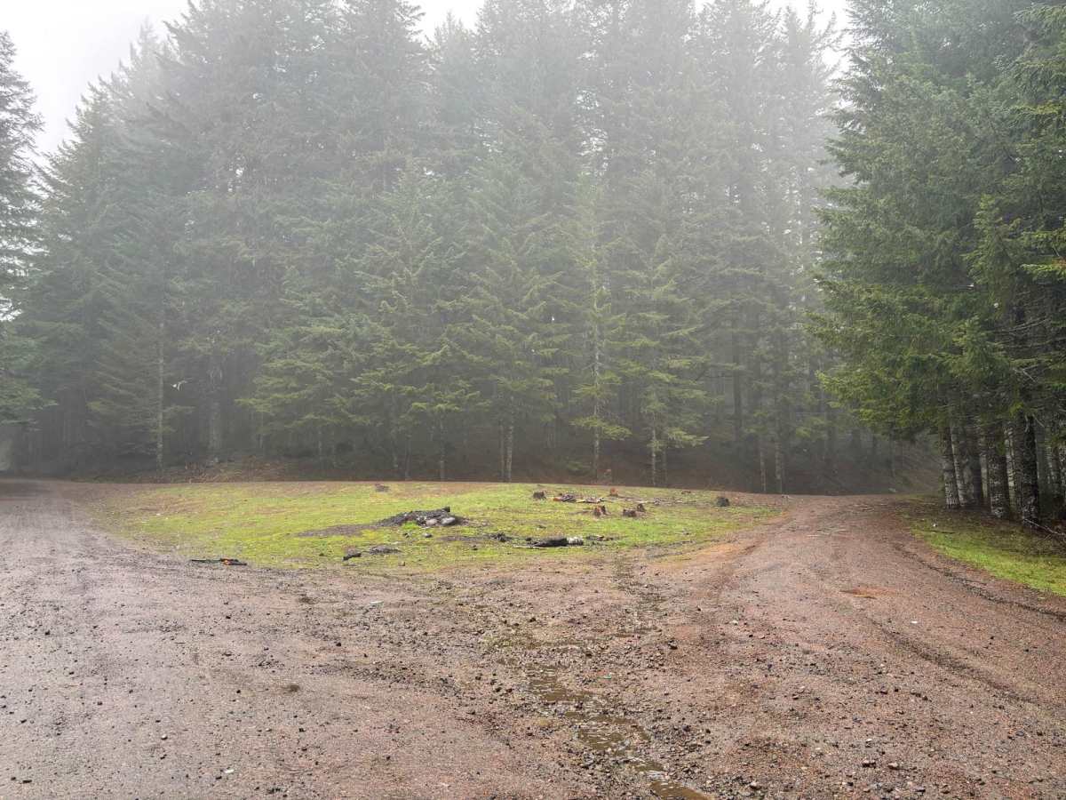 Bald Mountain photo 3