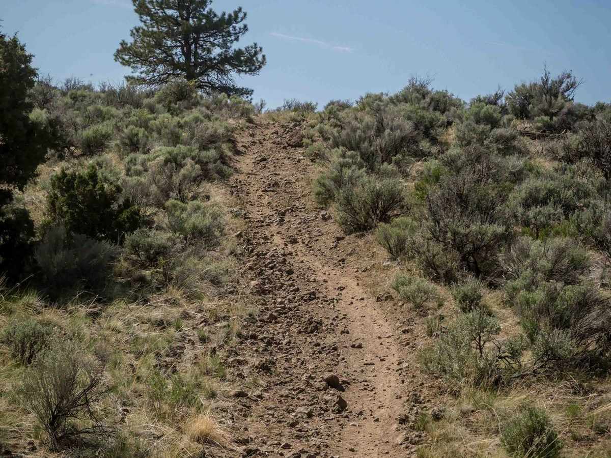 19 trail photo