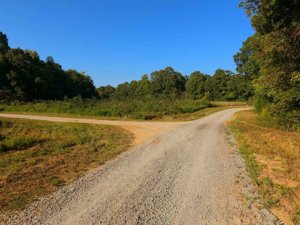 Woodson Chapel Road - FS 129 photo 6