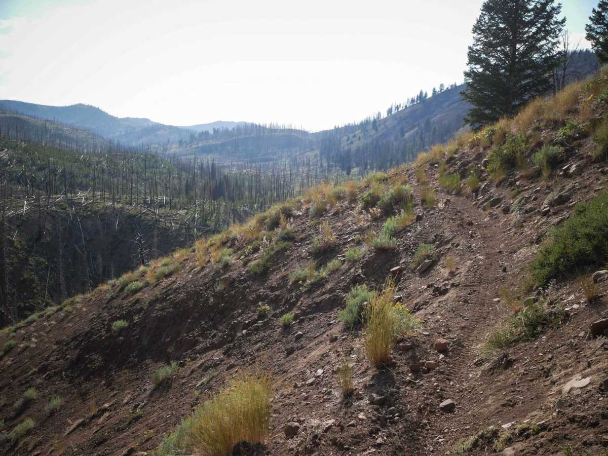 Deadwood Creek photo 6
