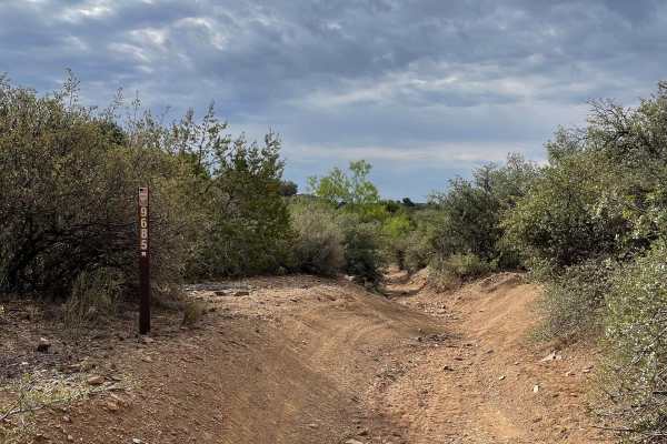 BLM Route 9685 & 9656