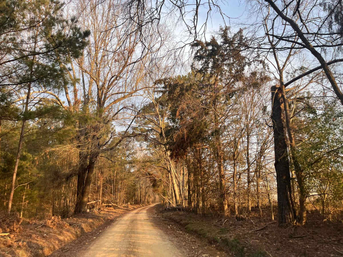 Ephrian Road trail photo