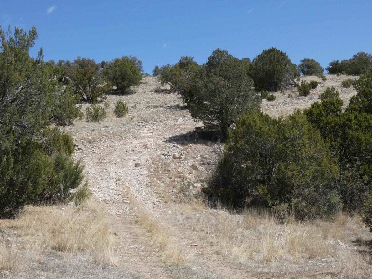 Powers Ridge photo 4
