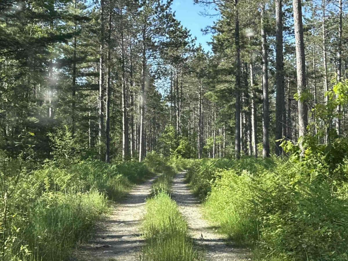 FS 3477 photo 3