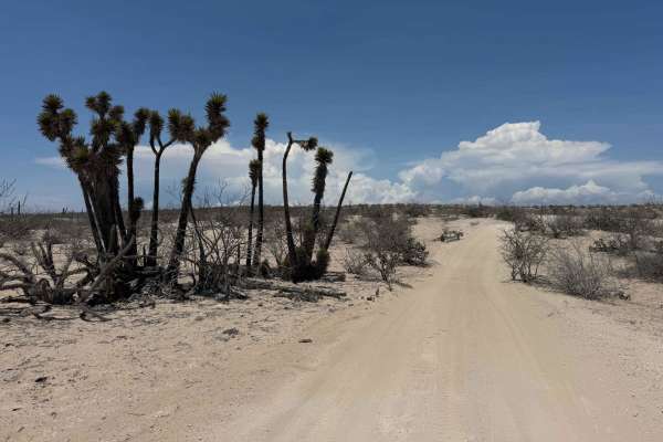 Loreto 500 Loop