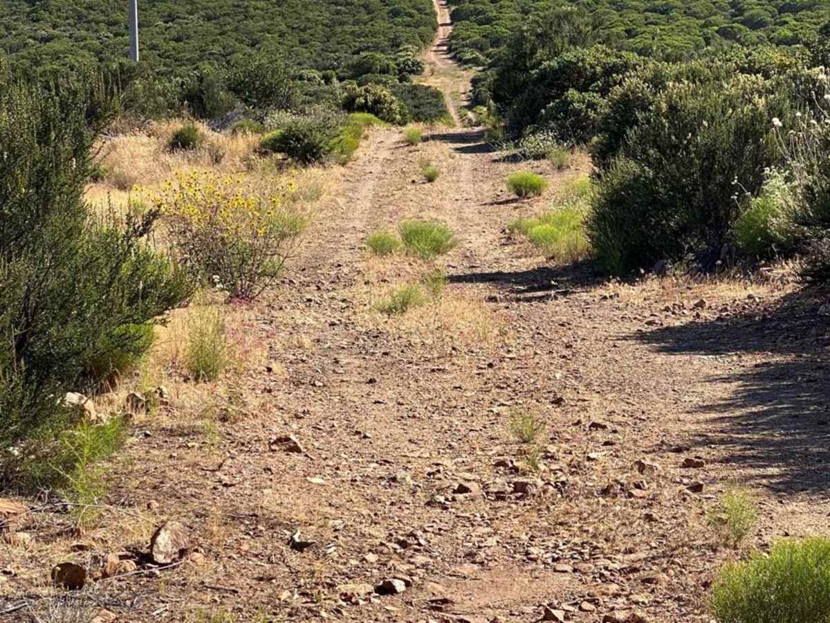 Mesa Colorado to El Hongo photo 5