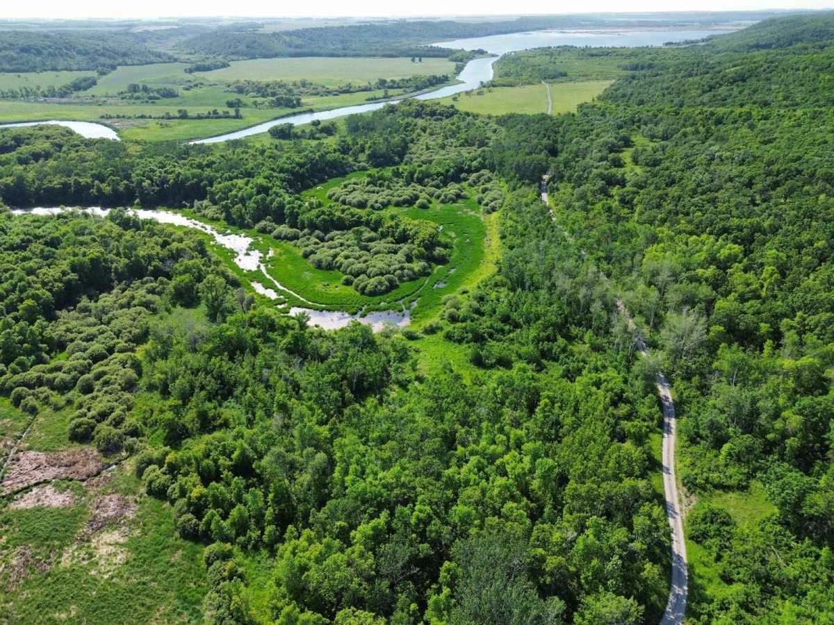 Grasse Lake trail photo