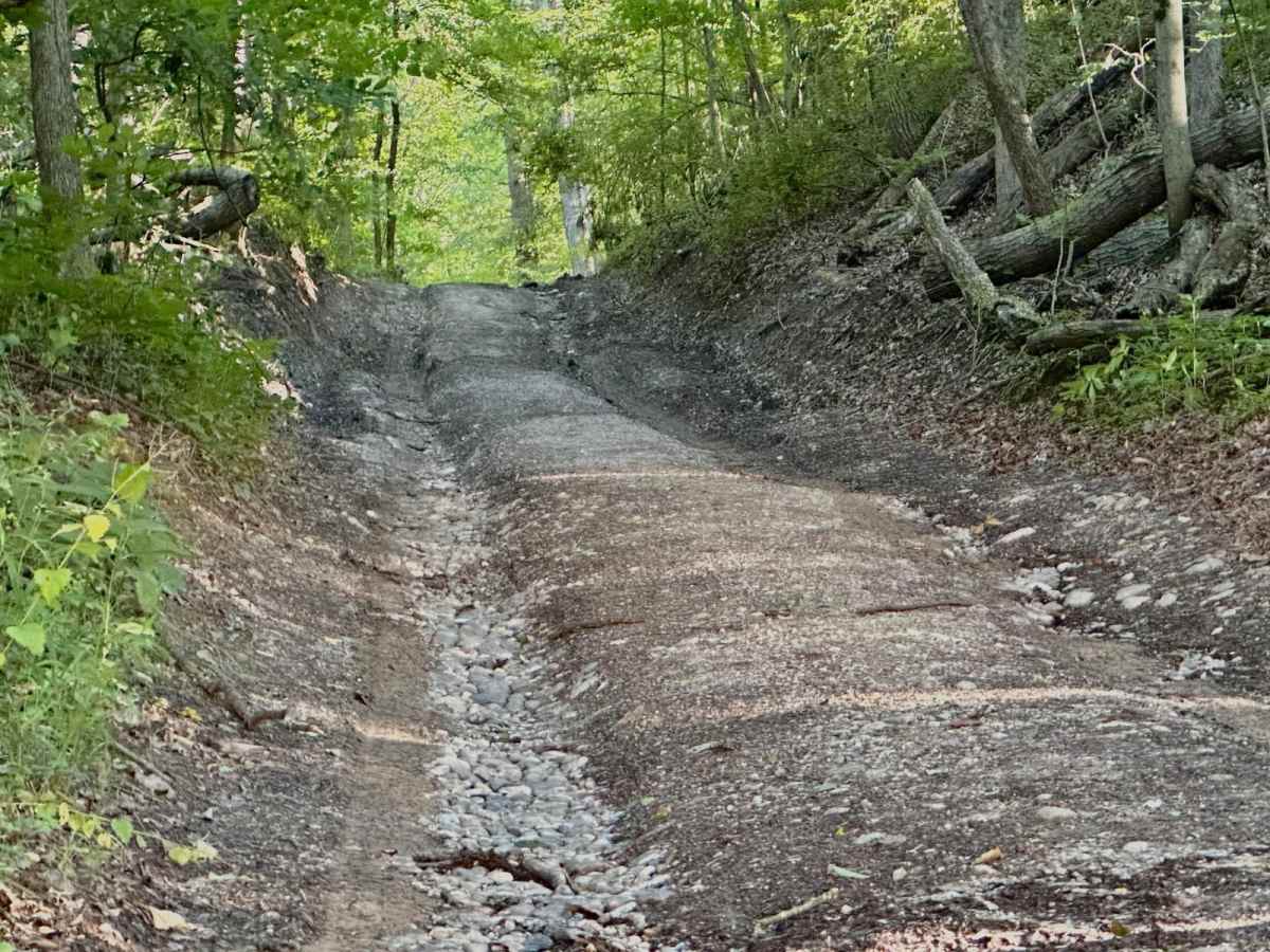 Montcalm Ave Northeast Trail photo 5