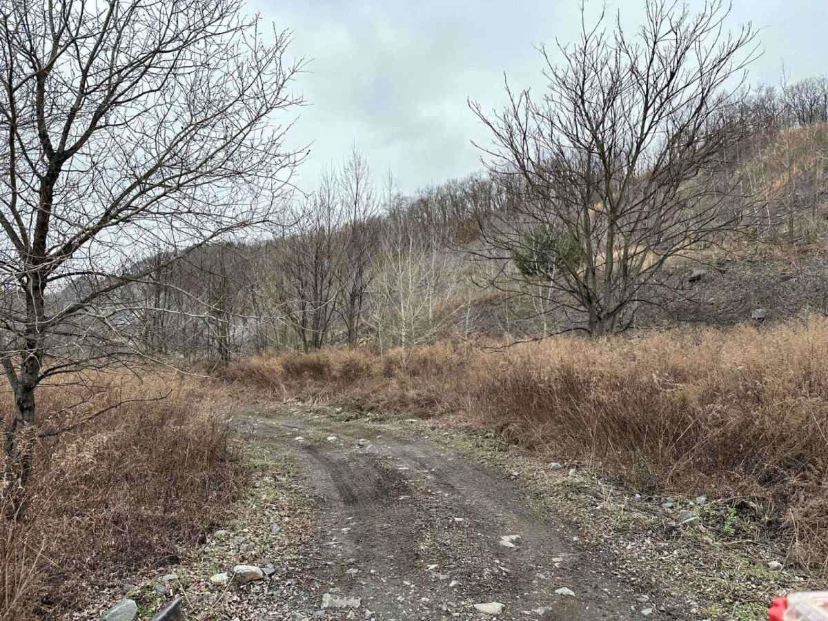 Darkwater 36 trail photo