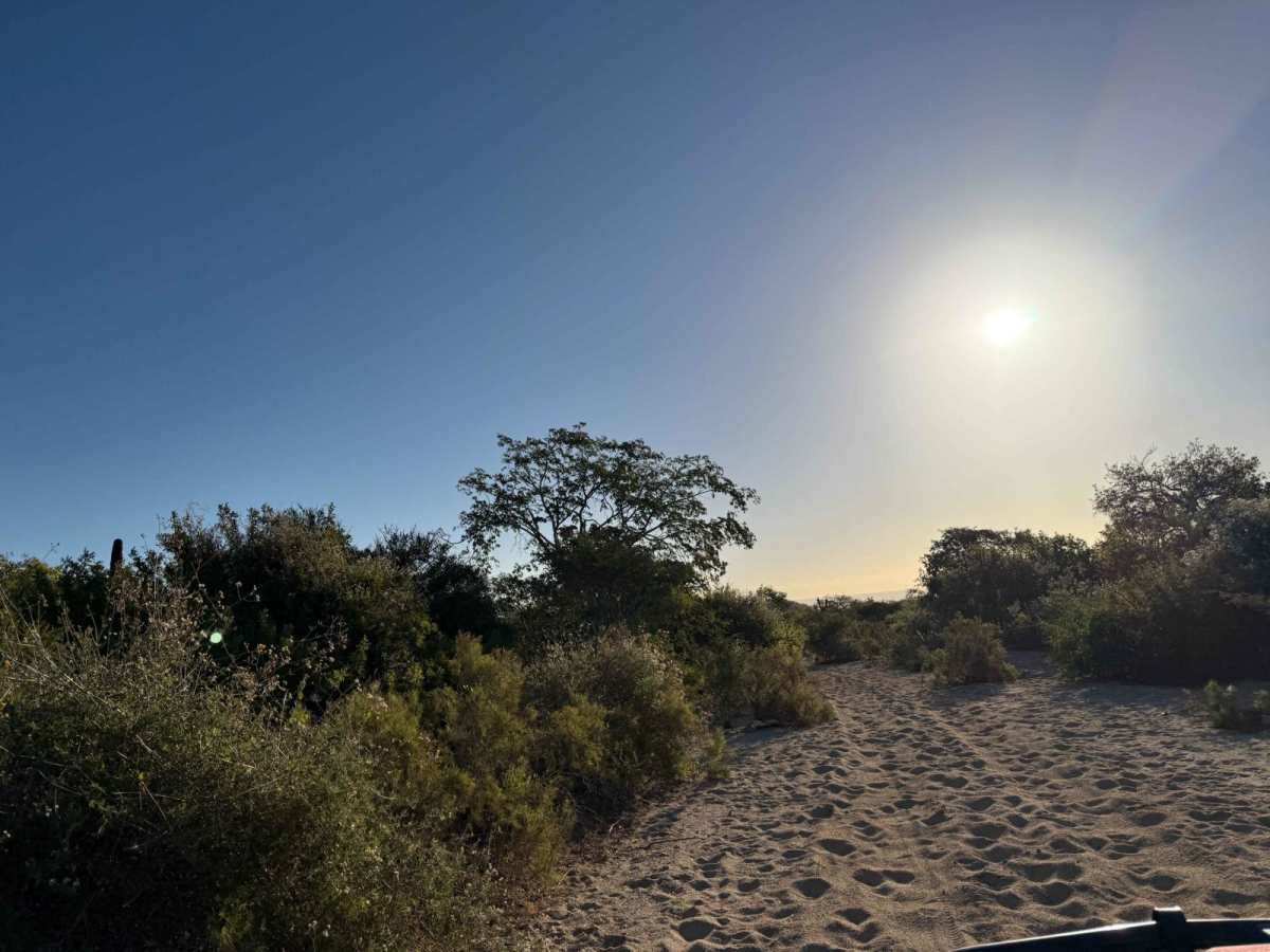 San Jose del Cabo 2 photo 4