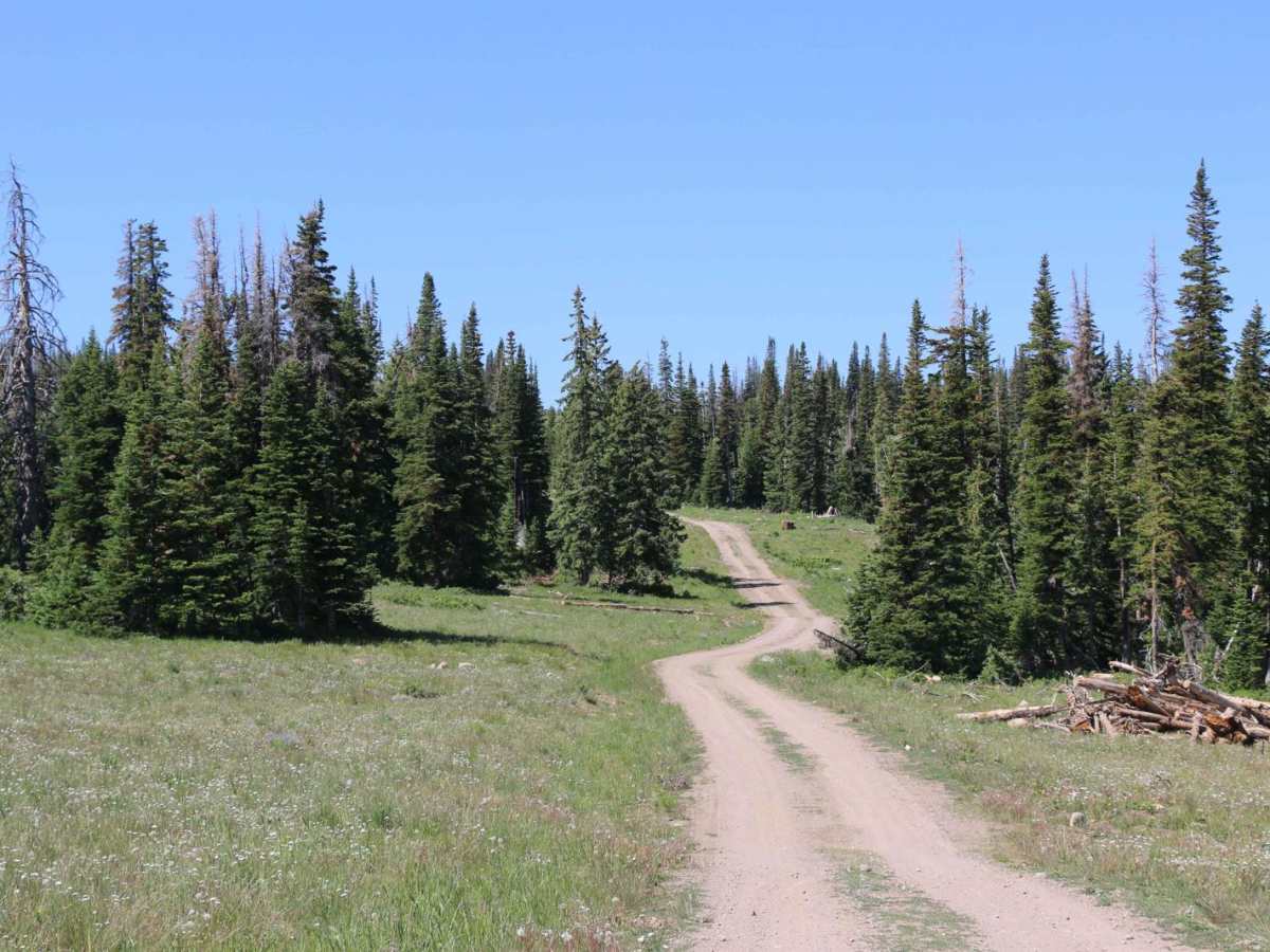 Heber Mountain Spur 1 - FS 70055 photo 4