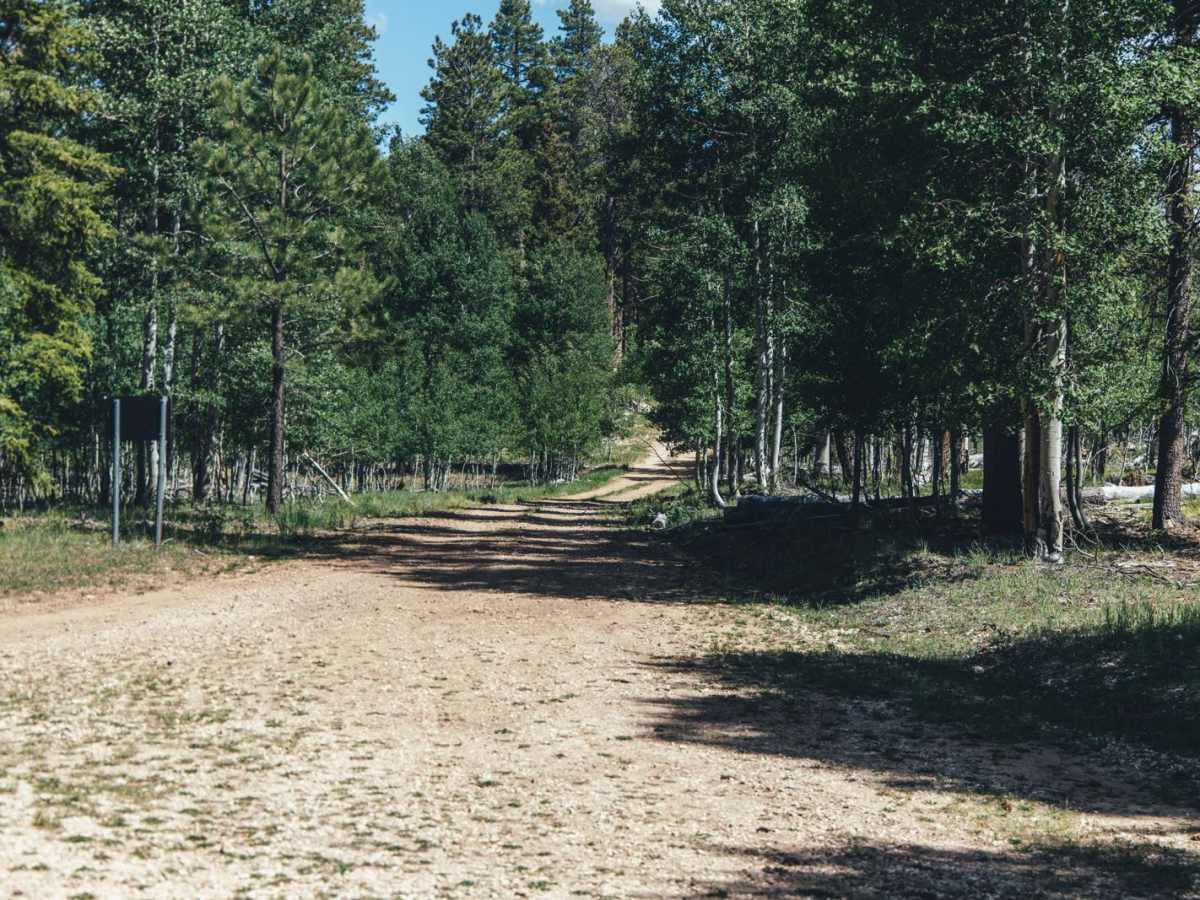 FR 641 trail photo