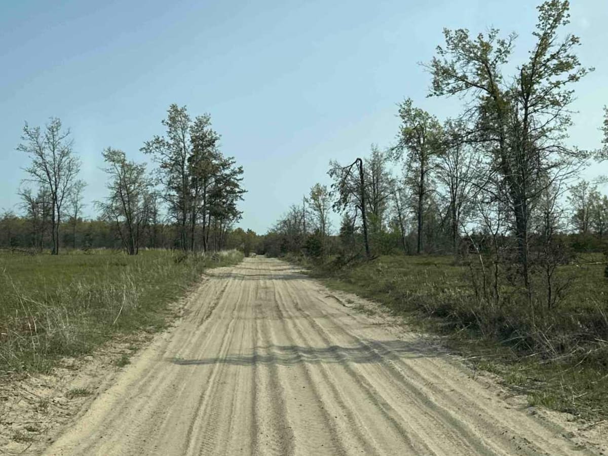 FS 1146 photo 4