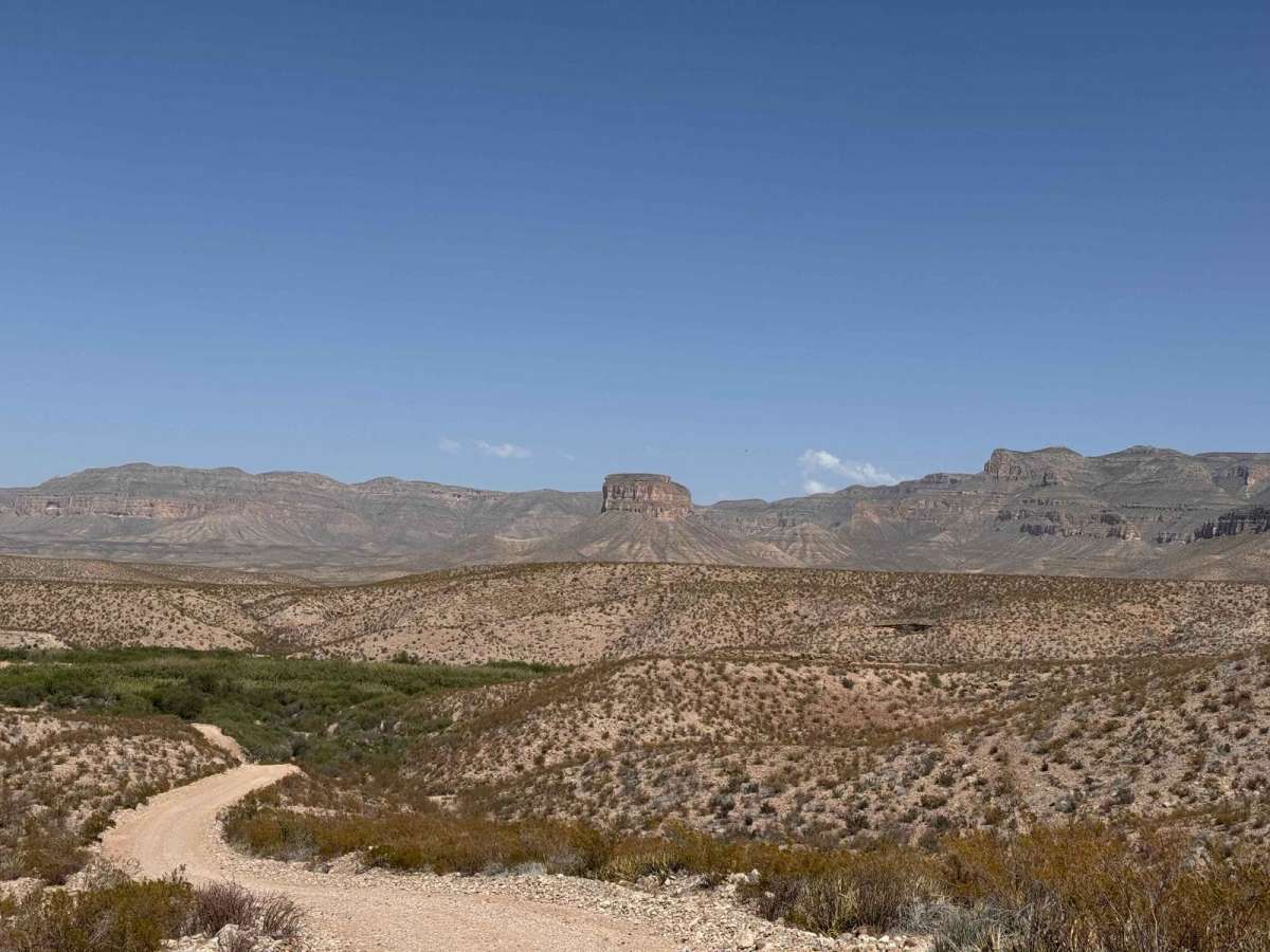 Black Gap Wildlife Management Area Road photo 6