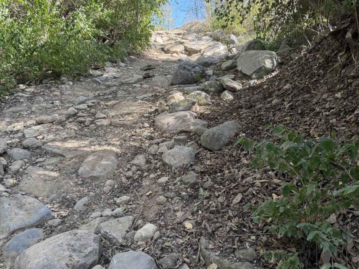 Red Trail trail photo