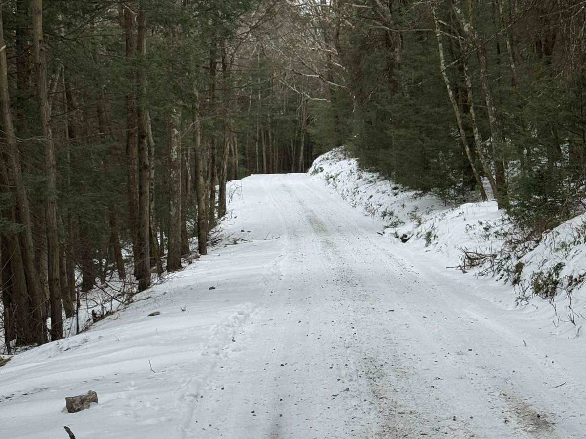 Old Shingle Road photo 5