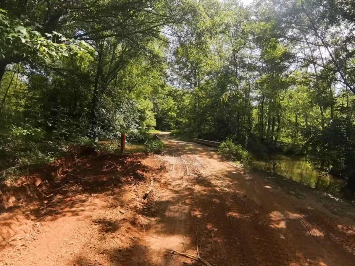 Moss Road trail photo