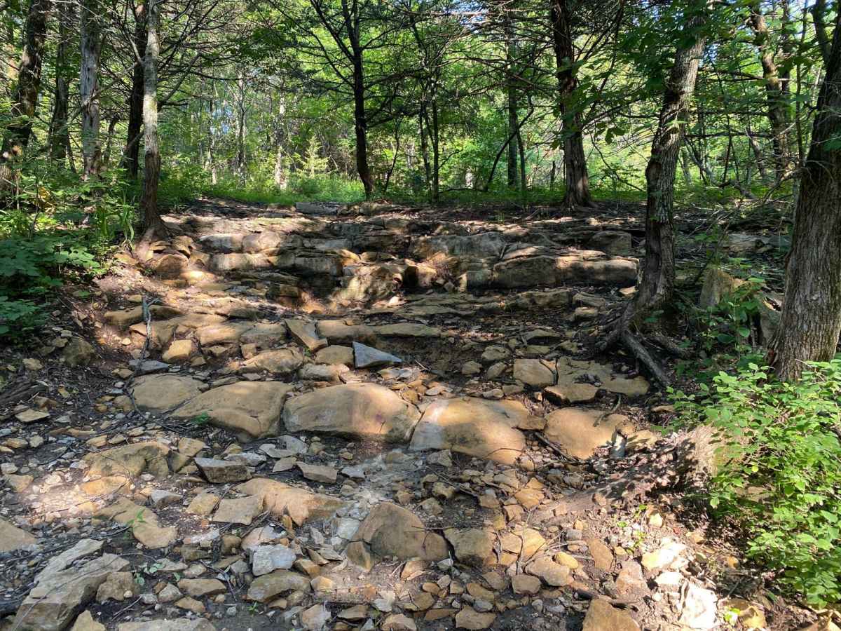 Grease Hill photo 5
