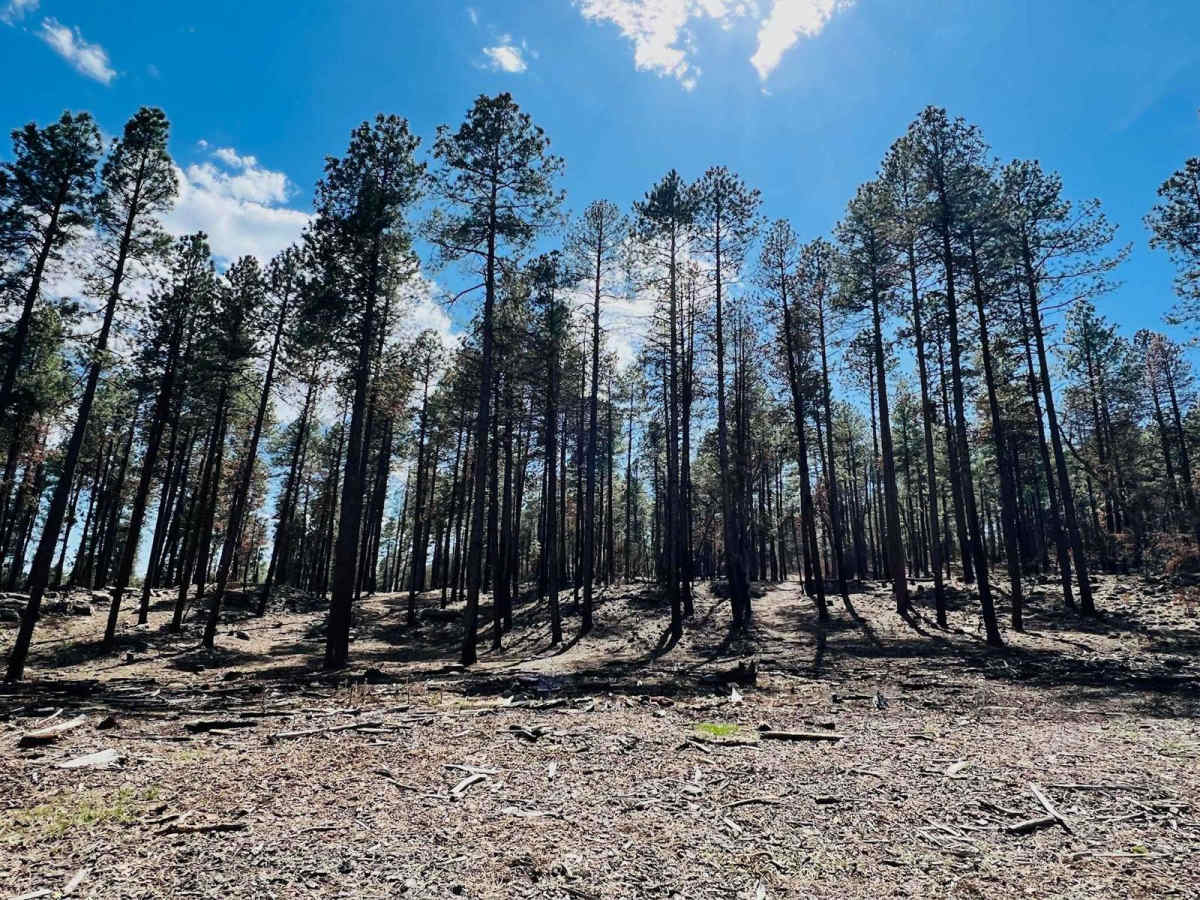FR-9403E trail photo
