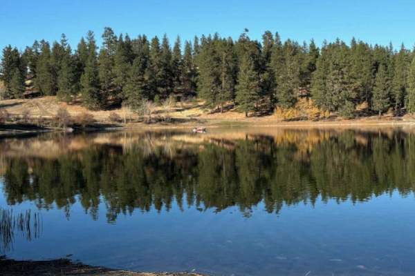 Burnell Lake Road