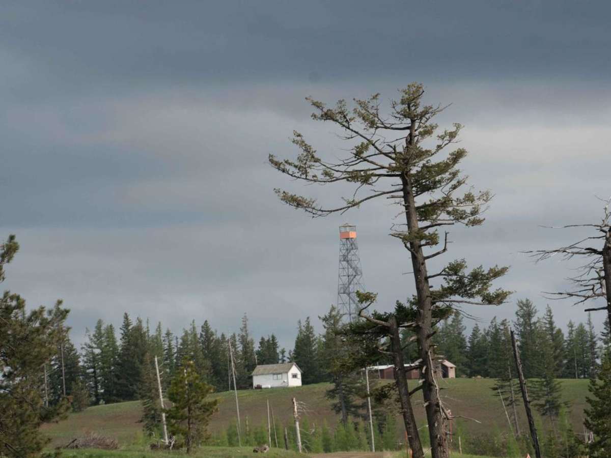 Pomeroy Grouse (National Forest Development RD 040) #1 photo 6