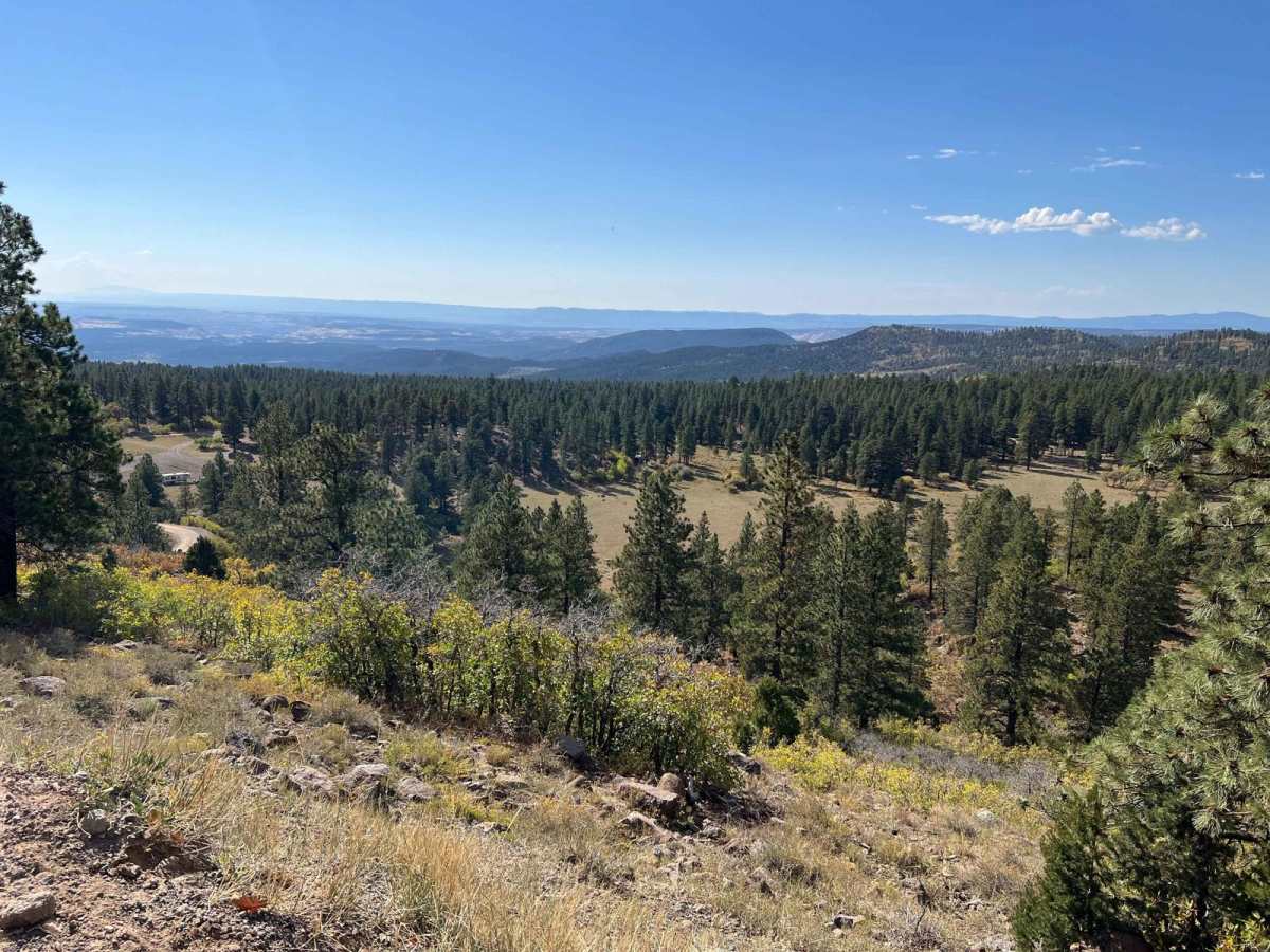 Waterline Road - BLM6850 photo 3