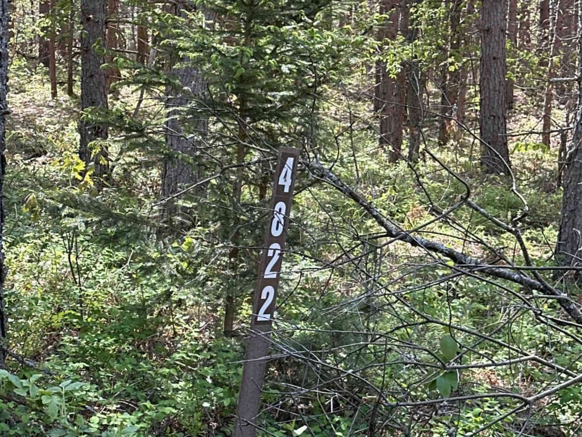 FS 4822 trail photo