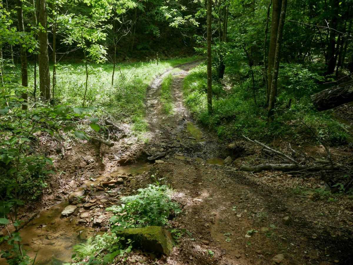 MV26 photo 4