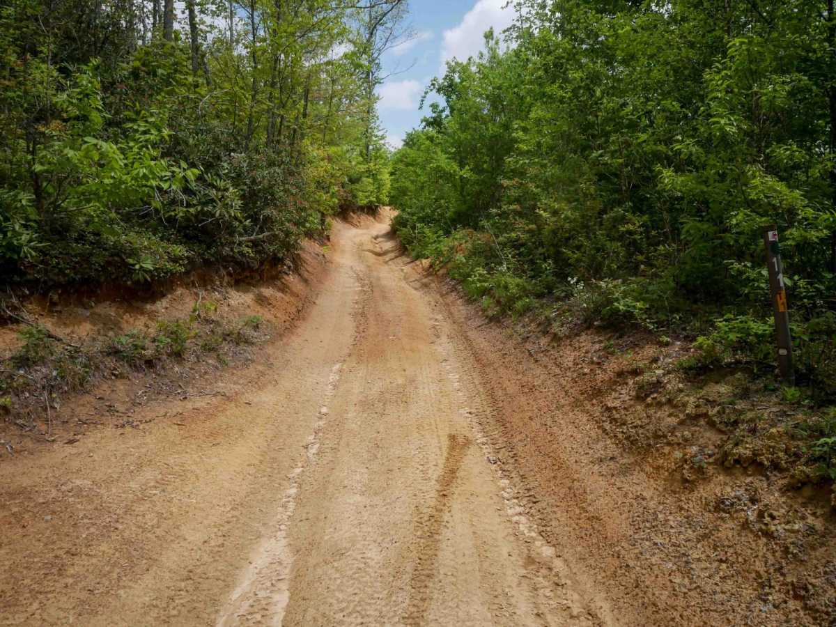 OP 17 trail photo