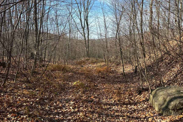 Ashland 154