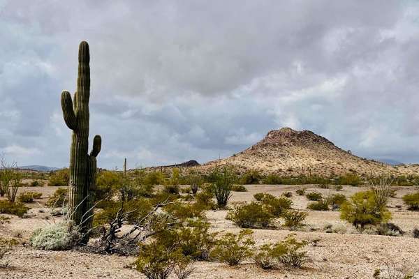 Eagletail Wilderness Boundary Run