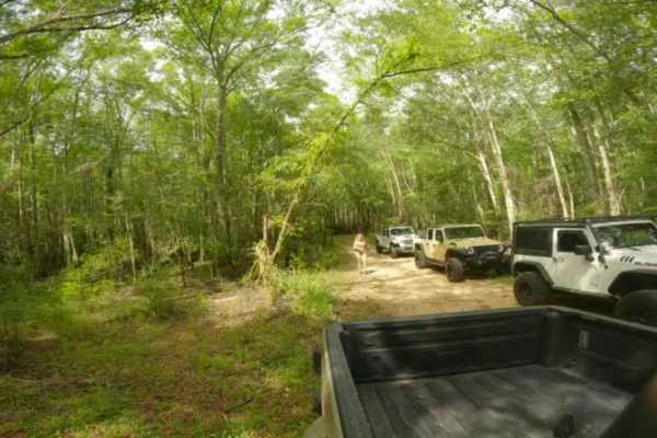 Trail to Miller Landing