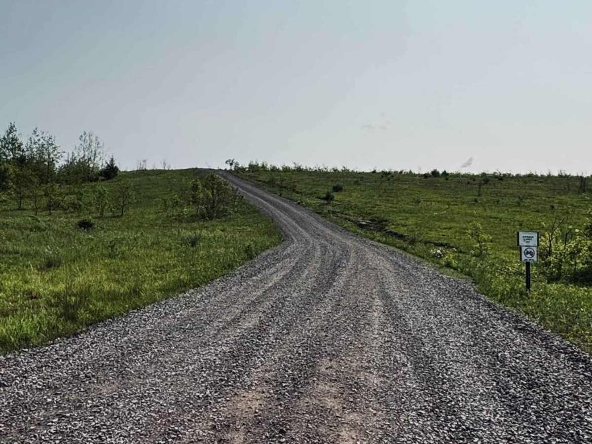 Wounded Warrior Road photo 3